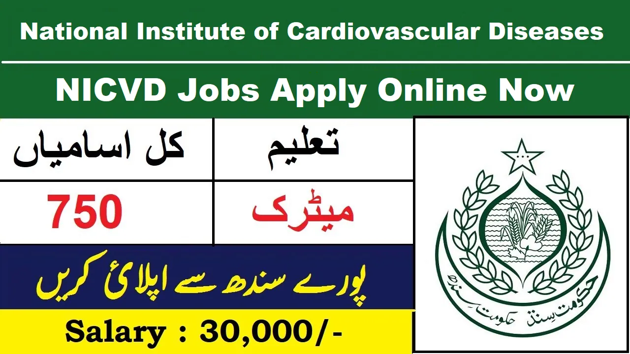 NICVD Jobs