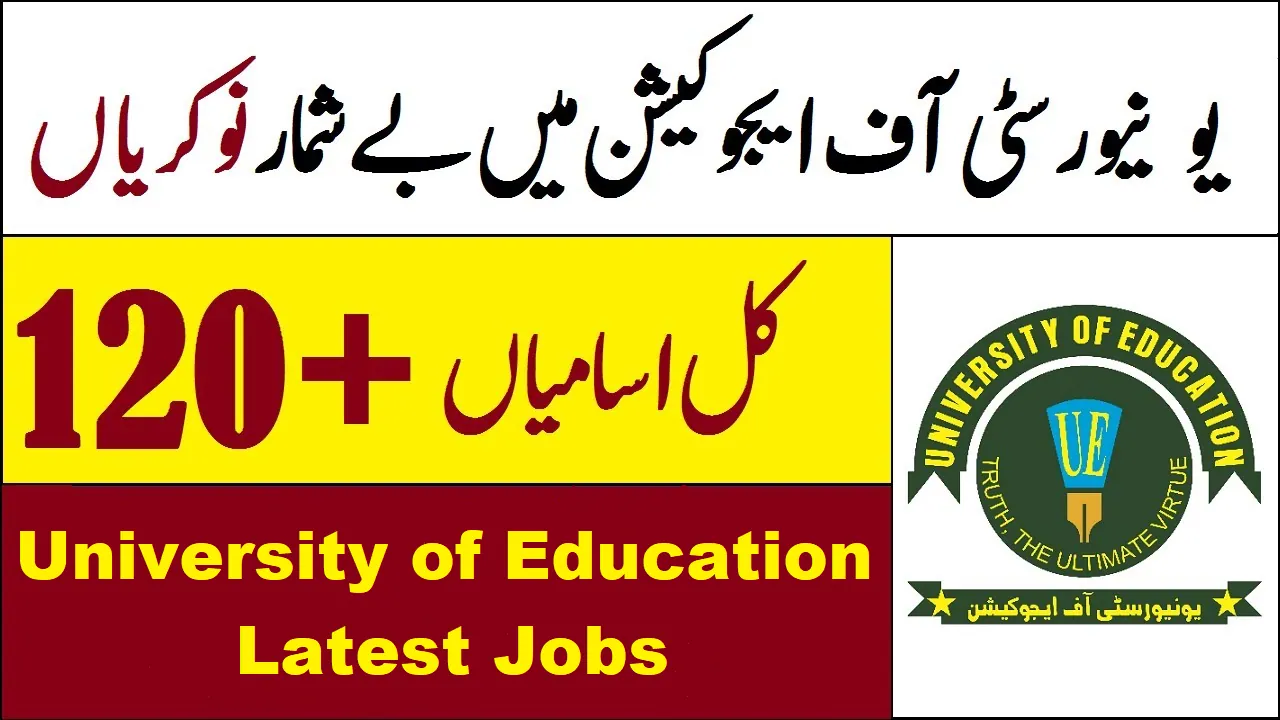 University of Education Jobs