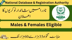 NADRA Jobs 2025 Online Apply | careers.nadra.gov.pk