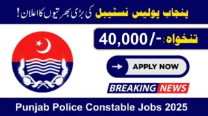 Join Punjab Police Jobs 2025 Constable-Lady Constable