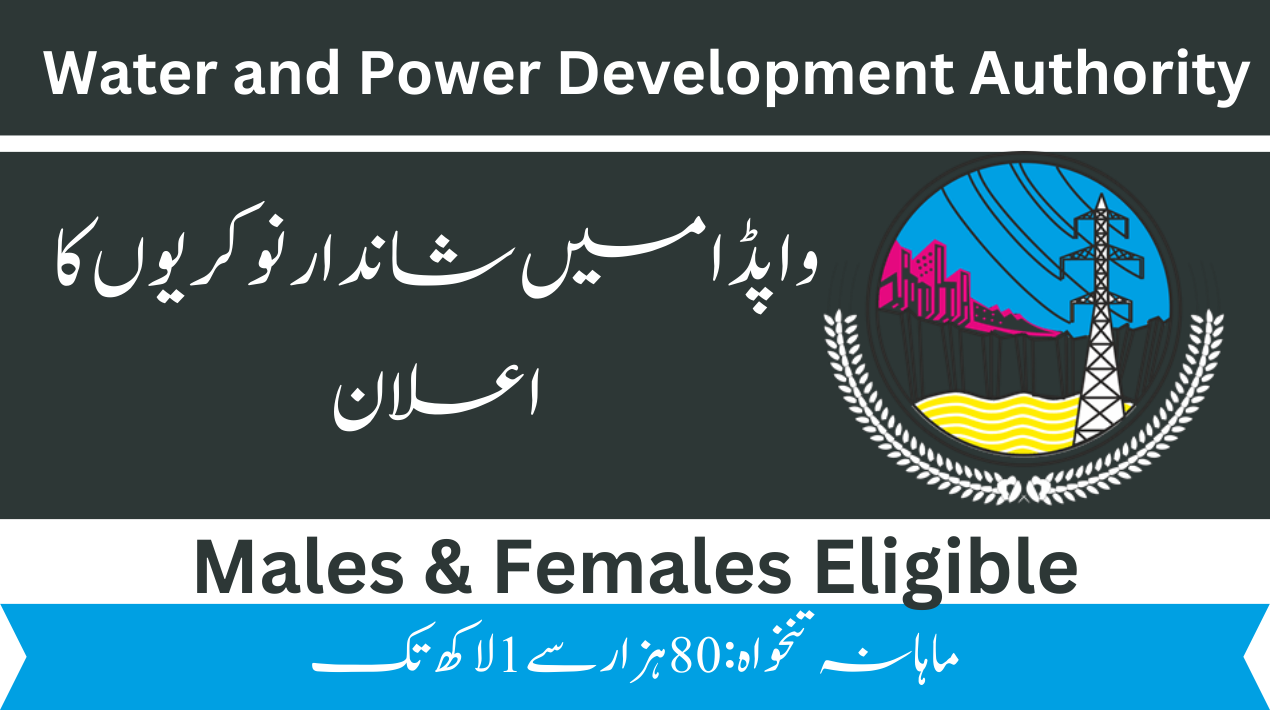 OTS WAPDA Jobs 2025 Online Apply